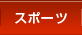 �X�|�[�c